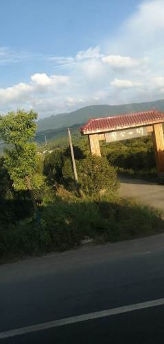 湖心公园