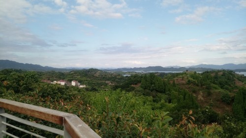 竹里村观景台