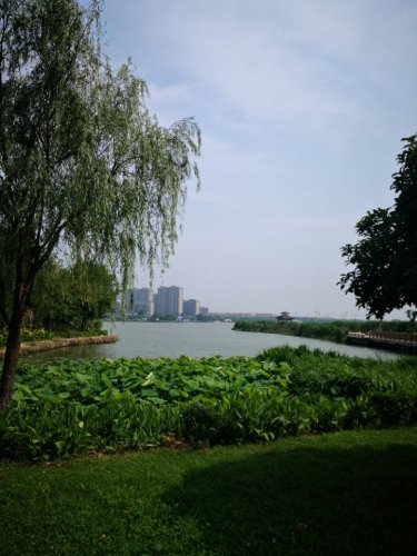 阳山荡公园