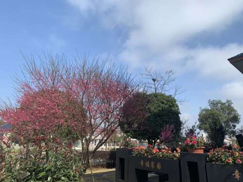 幸福家园文化广场
