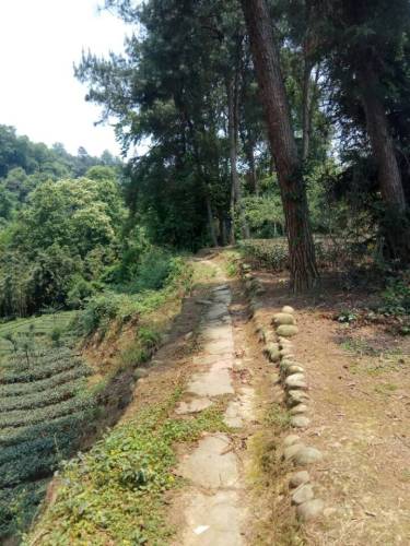 衬腰岩茶马古道