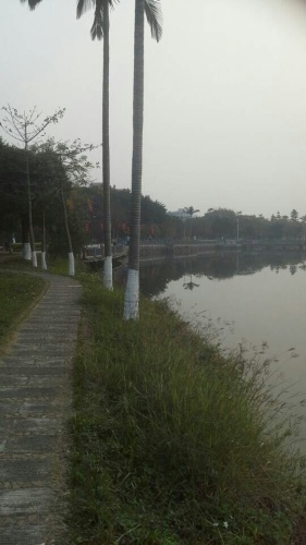 碧莲湖公园