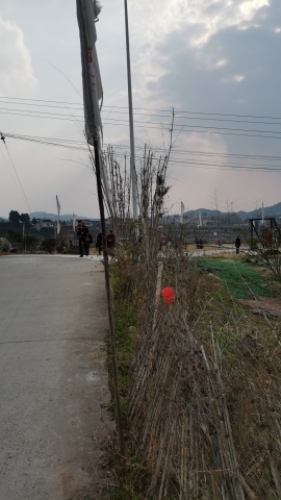 庙子山飞龙生态园
