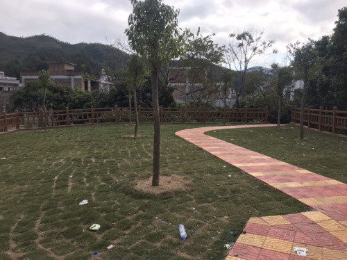 新光村榕树头公园