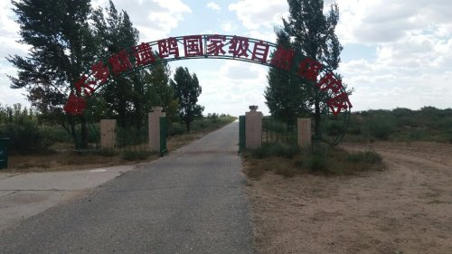 鄂尔多斯遗鸥国家级自然保护区