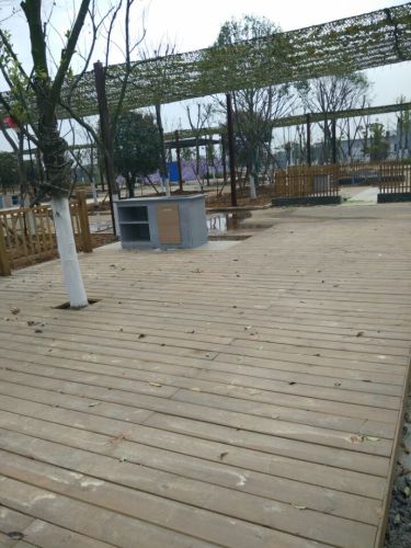 花山金港汽车主题公园