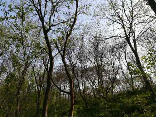 通榆河枢纽风景区
