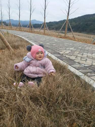 杭溪河入湖口湿地公园