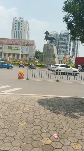 灵山县大花坛
