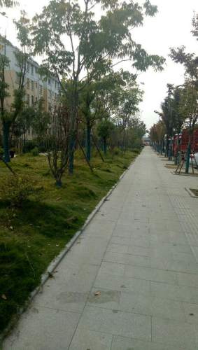 颍泉路游园