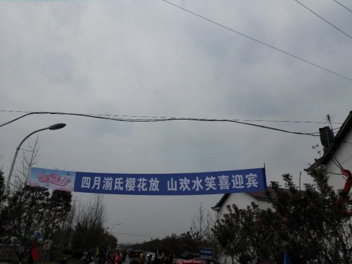 龙泉村樱花谷