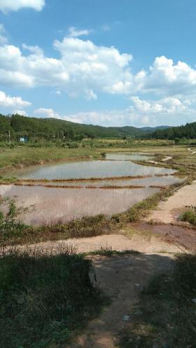 观音山风景区