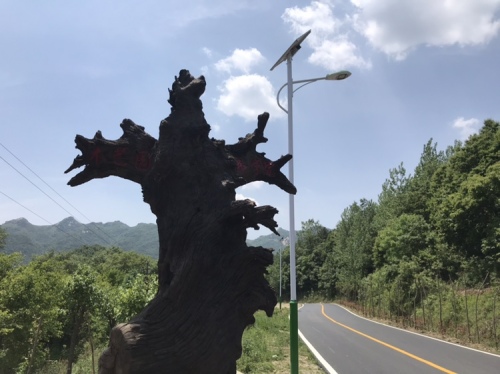 东方神木园