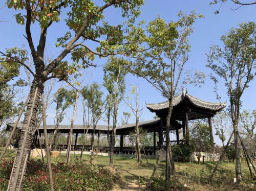 东部新区中央景观轴