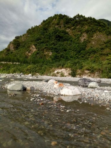 小渔洞大桥遗址