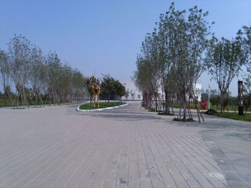 兰花文化休闲公园