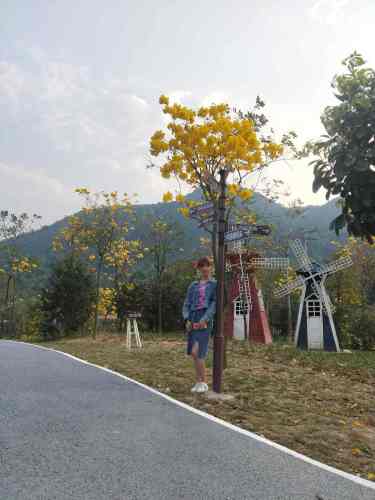 派阳山森林公园