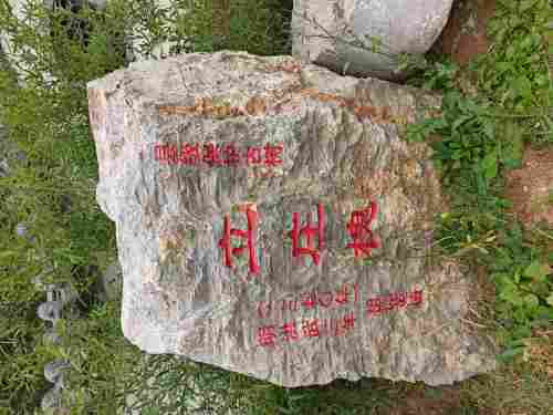 张兴立庄槐