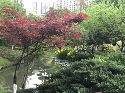 知章公园