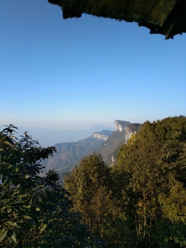 大沙河银杉自然保护区