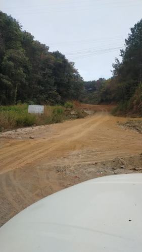 兴宁市黄蜂窝茶山旅游区