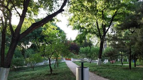 北京朝曦公园