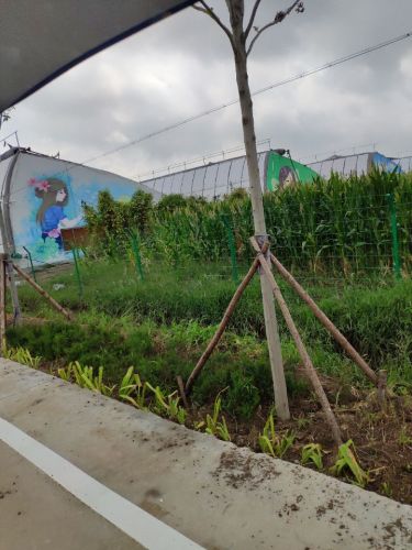 青岛百亿绿洲多肉植物园
