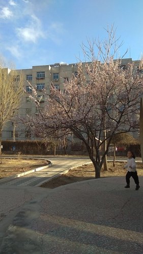西街小区游园