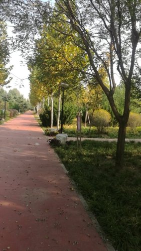 安丘市青云植物园
