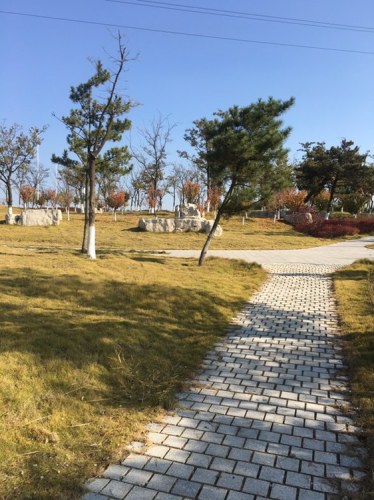 河萍公园