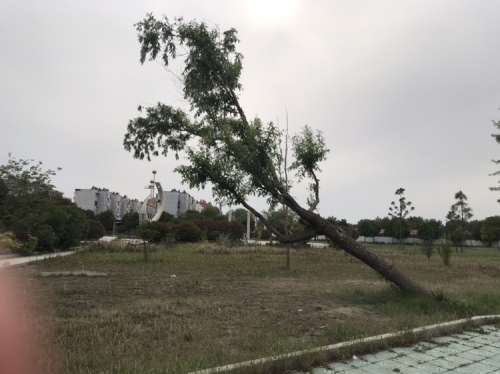 朱仙庄塌陷区公园
