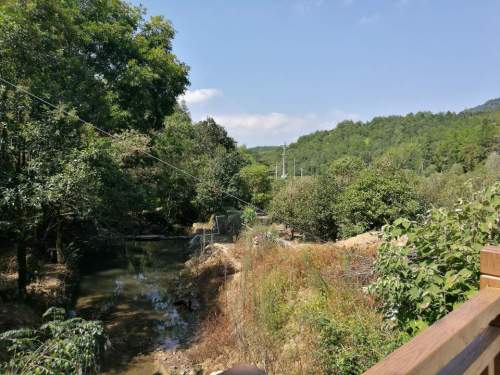 乌龙山桂花大观园