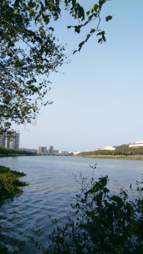 大浮莲岗公园