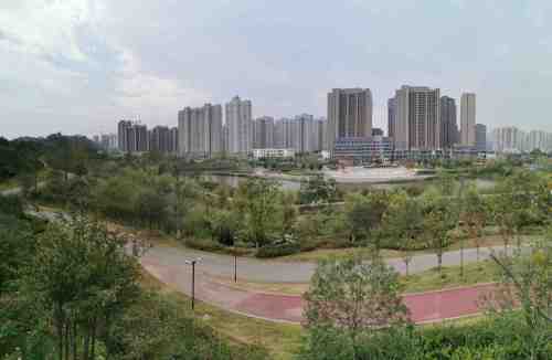 桂花公园