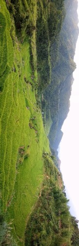 马罗梯田