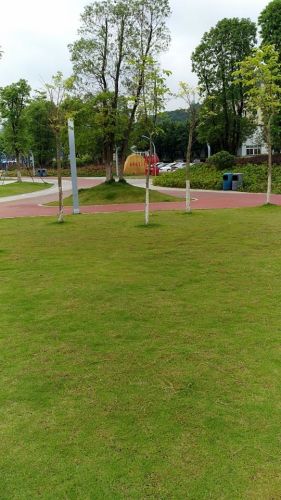 西田体育公园