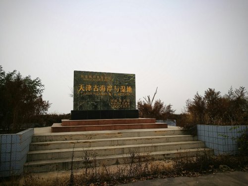 七里海-东海鸟岛景区(不对外开放)