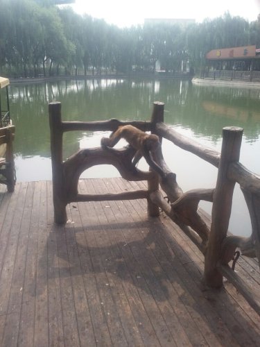 柏人公园