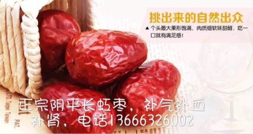 枣园广场