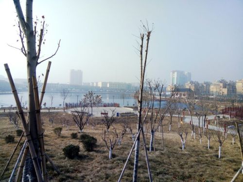玉心湖公园