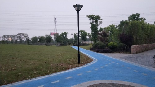 南星渎郊野公园