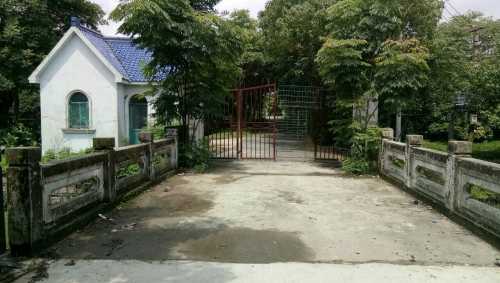 泖田湿地