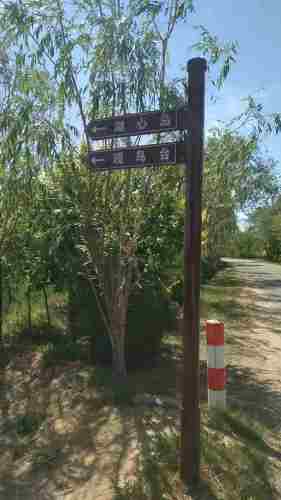 东营龙栖湖省级湿地公园