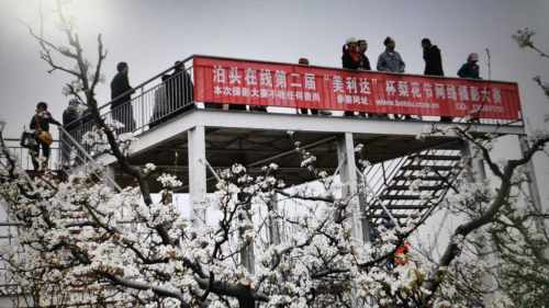亚丰观光梨园