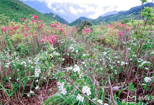 六春湖生态漂流景区