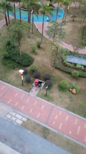 怀集植物园