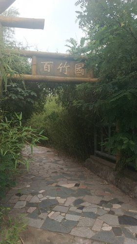 绿竹风情园