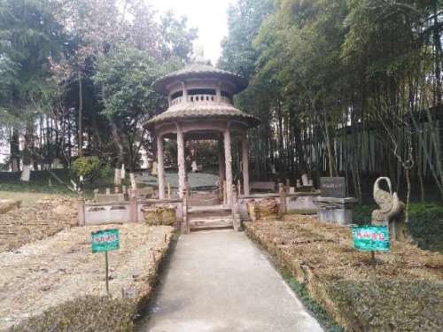 凤凰公园