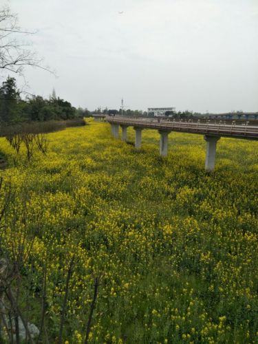 沙土坡自然风景区