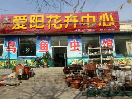 爱阳花卉观光基地